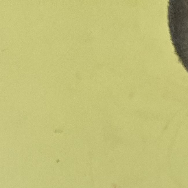 Мастер классы