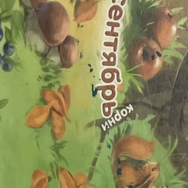 Мастер классы