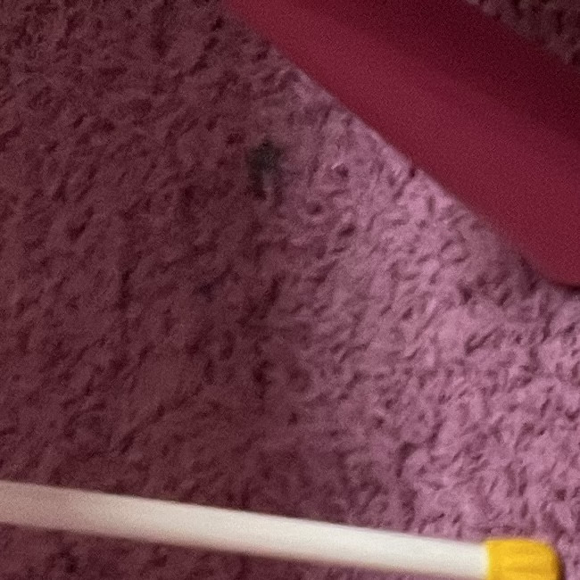 Мастер классы