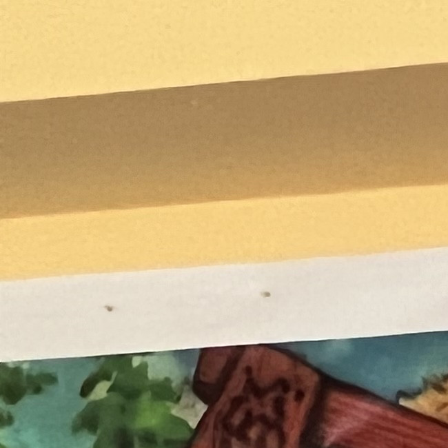 Праздник осени