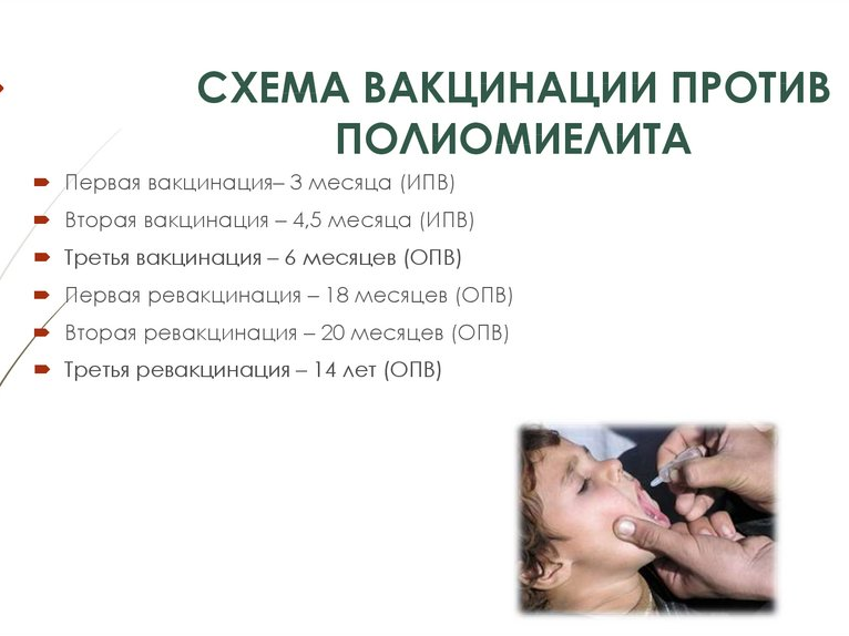 Прививки против полиомиелита Прививки против полиомиелита