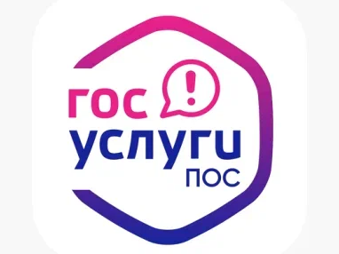 ГОС УСЛУГИ ПОС