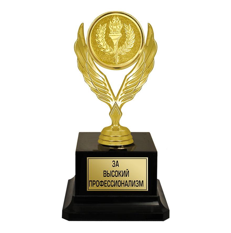 Личный вклад и достижения учителя.