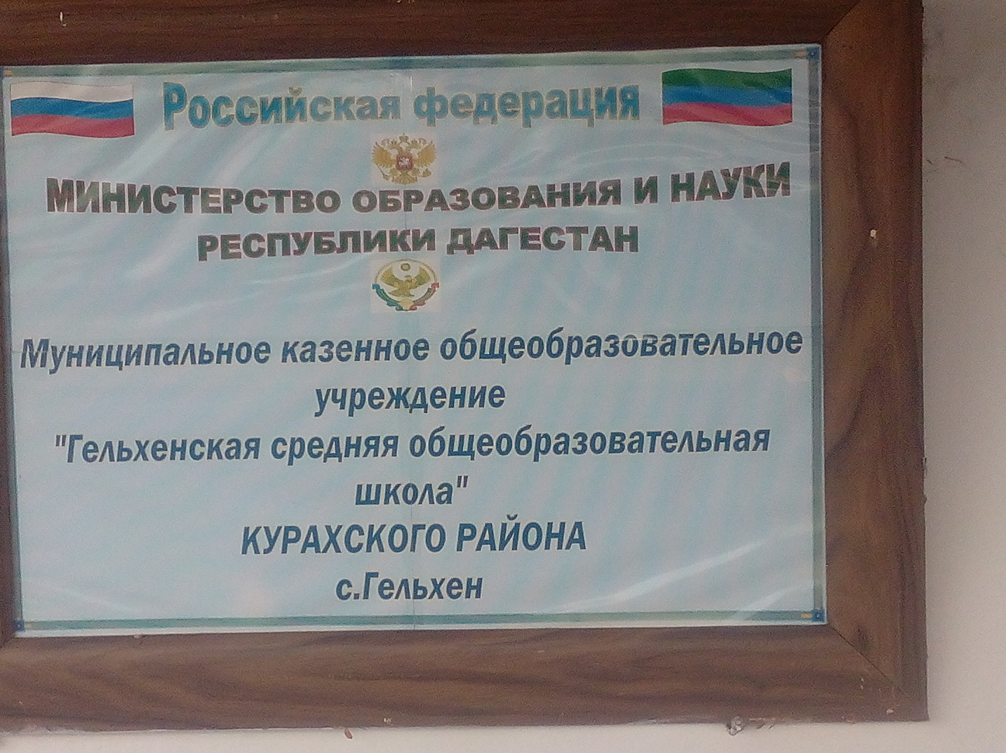 Мониторин менеджмента фоод