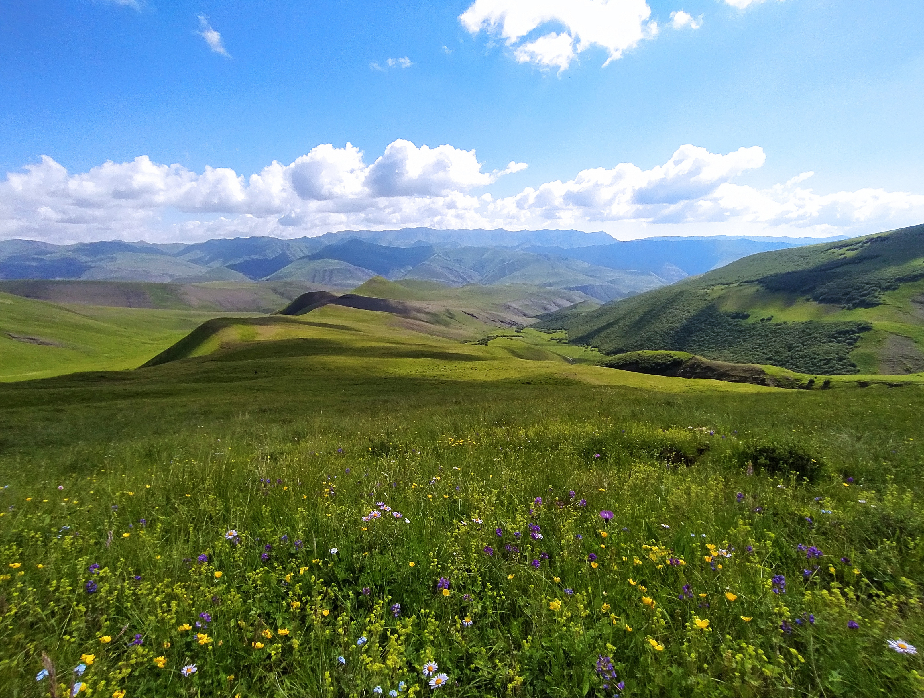 Родные горы