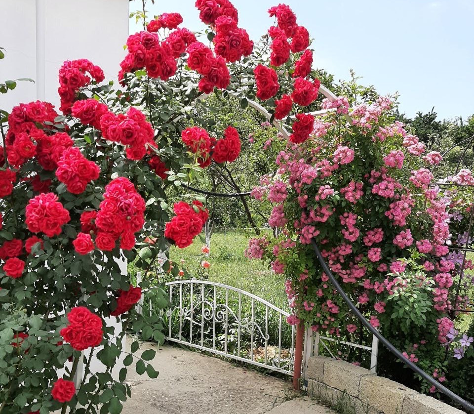 наш любимый дом