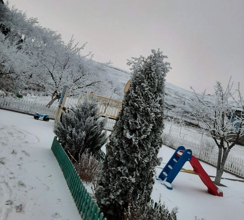 наш любимый дом