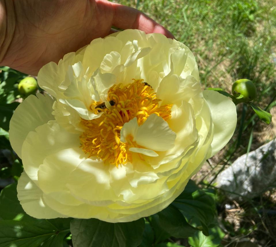 наш любимый дом наш любимый дом