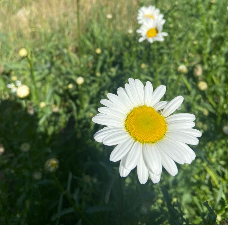 наш любимый дом наш любимый дом