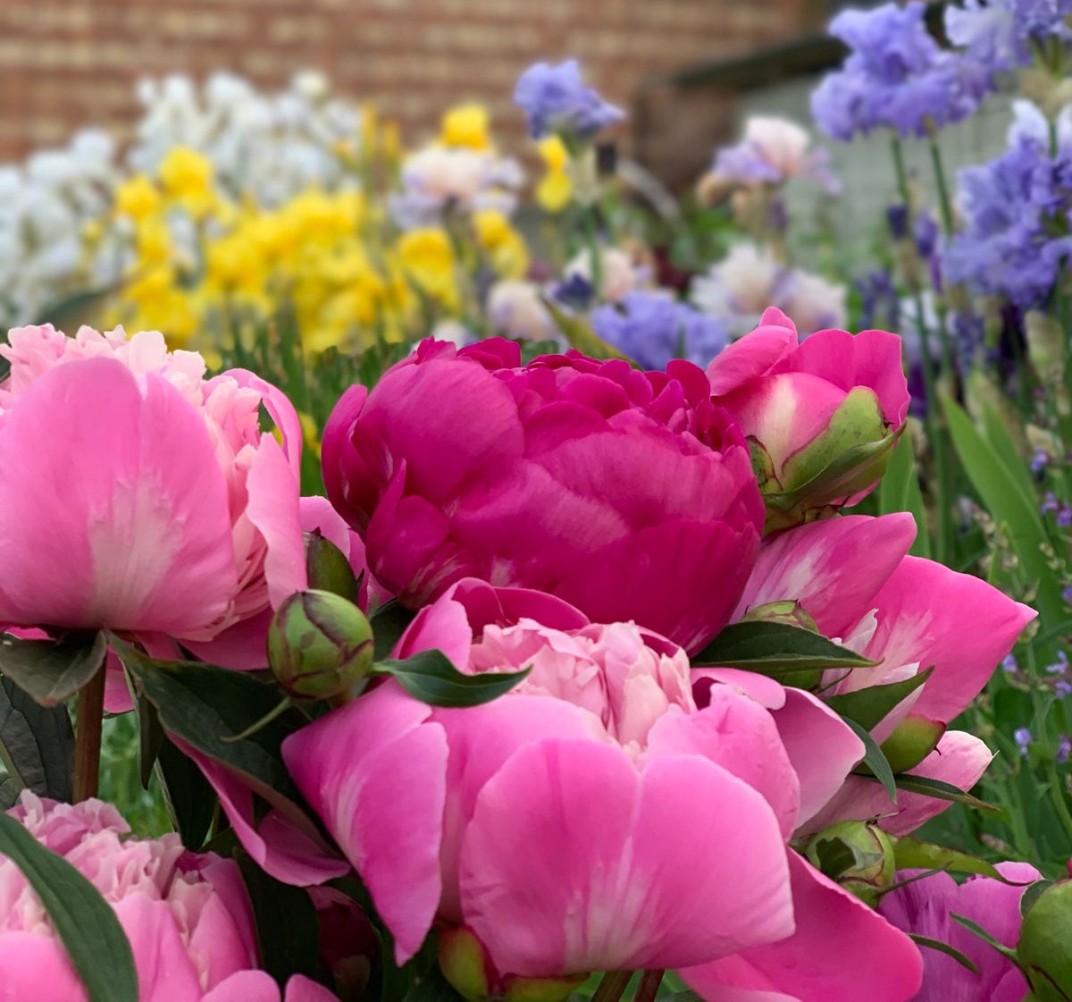 наш любимый дом наш любимый дом