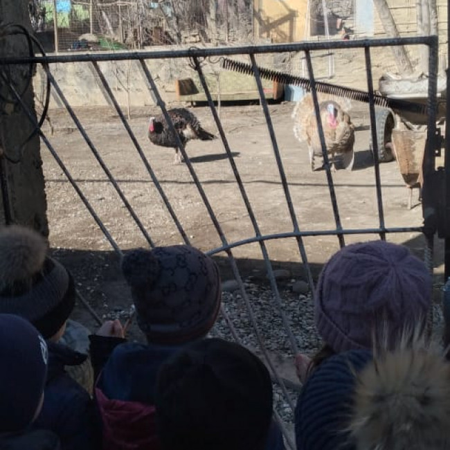 ГРУППА "РОМАШКА"