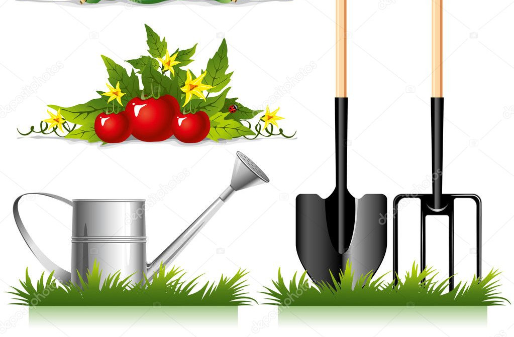 МИР МОИХ УВЛЕЧЕНИЙ