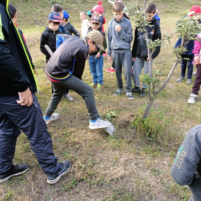 Субботник «Зеленая Россия». Субботник «Зеленая Россия».