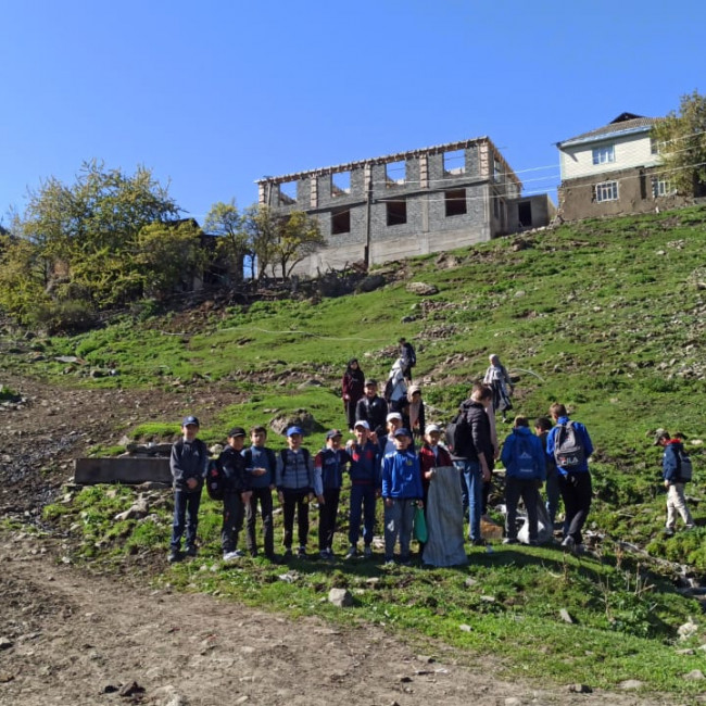 Очистка родников