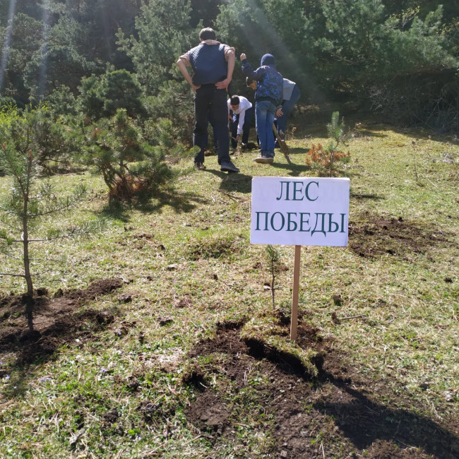 Акция "Лес Победы"