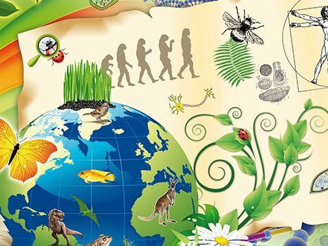 Открытый урок по биологии в 6 классе