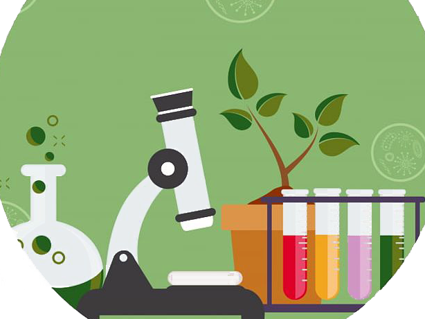 Брейн-ринг знатоков биологии