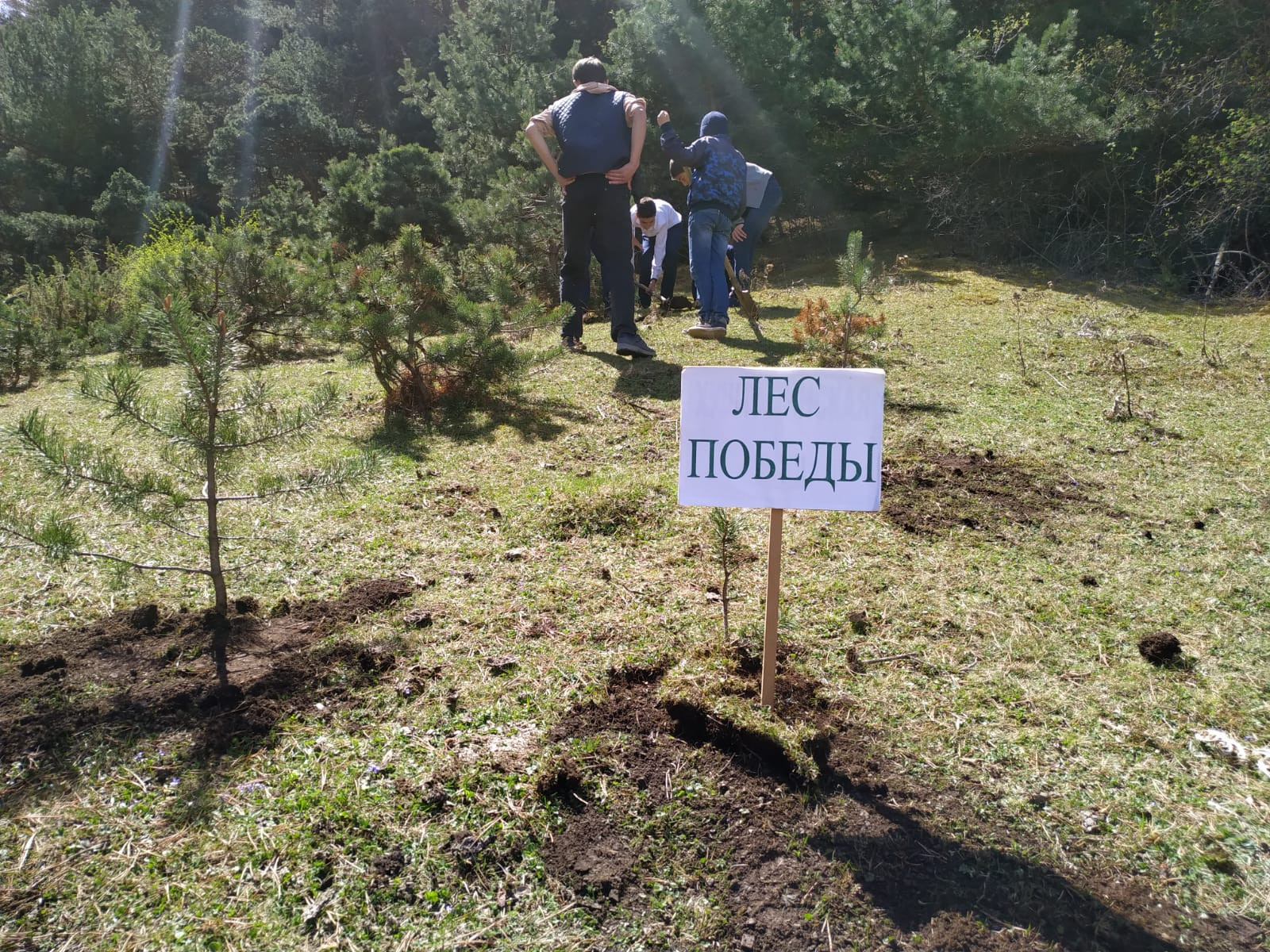 Акция "Лес Победы"