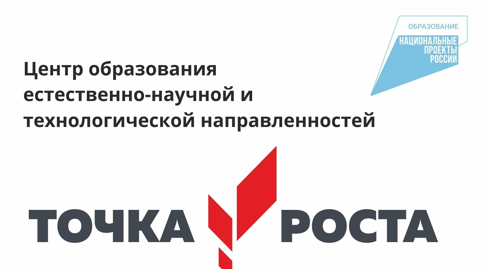 "Образовательные программы"