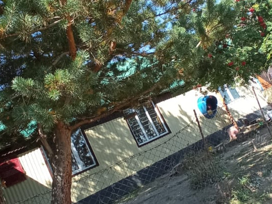 Материально-техническая база