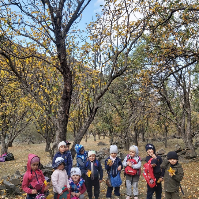 Экскурсия "Золотая осень"