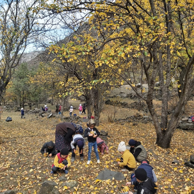 Экскурсия "Золотая осень"