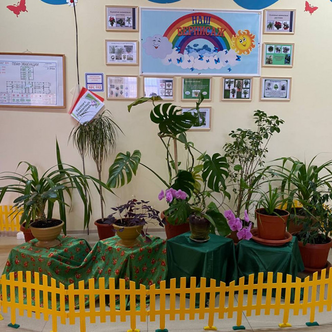 эколята дошколята эколята дошколята