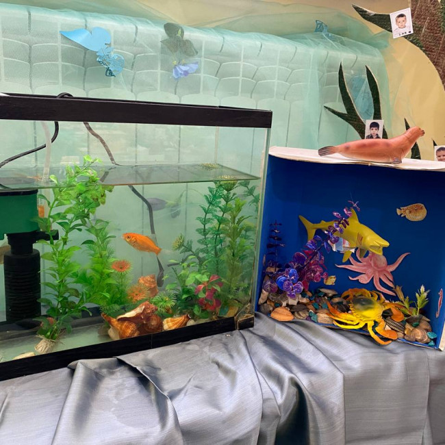 эколята дошколята эколята дошколята