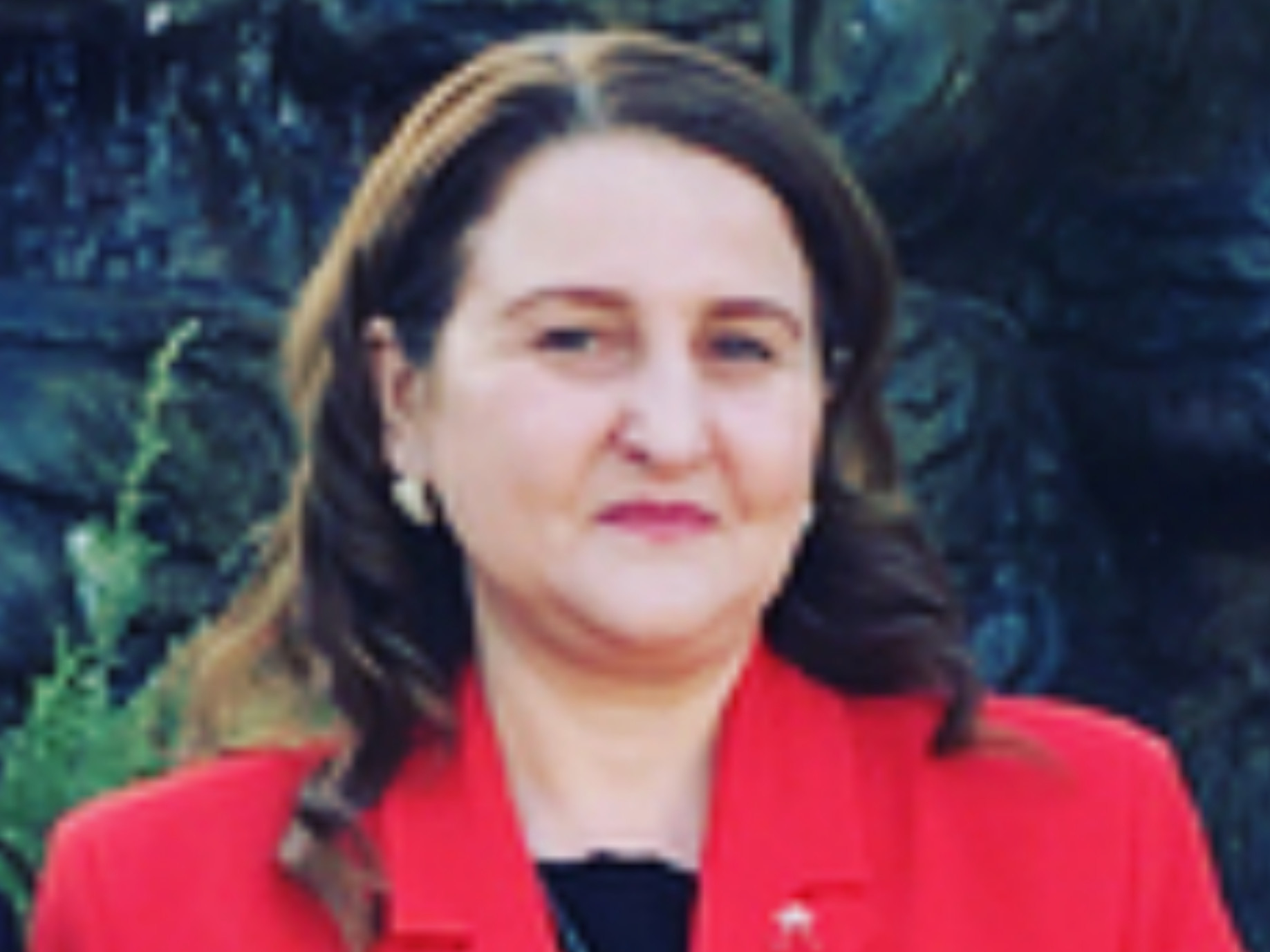 Ибрагимова Саида Чанкаевна