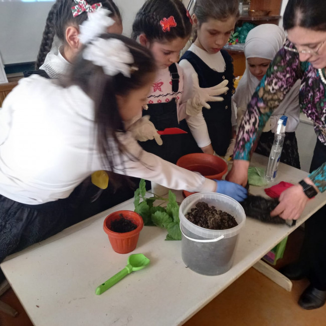 Дополнительная общеобразовательная программа естественнонаучной направленности