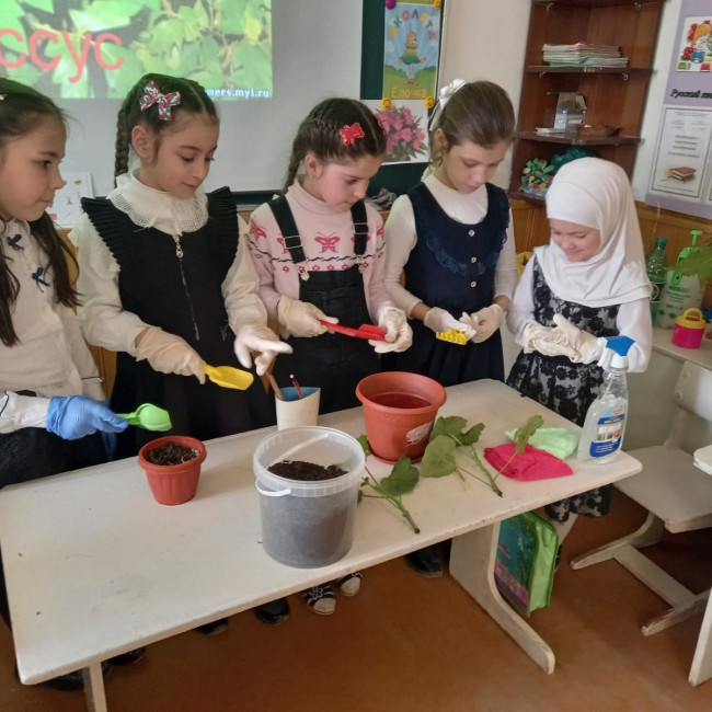 Дополнительная общеобразовательная программа естественнонаучной направленности