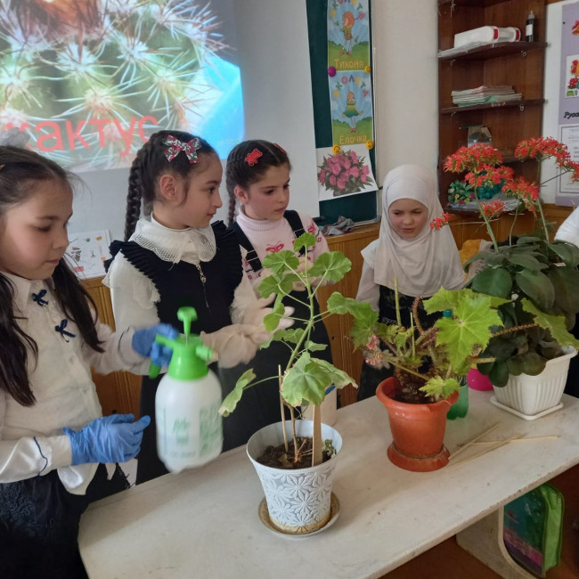 Дополнительная общеобразовательная программа естественнонаучной направленности