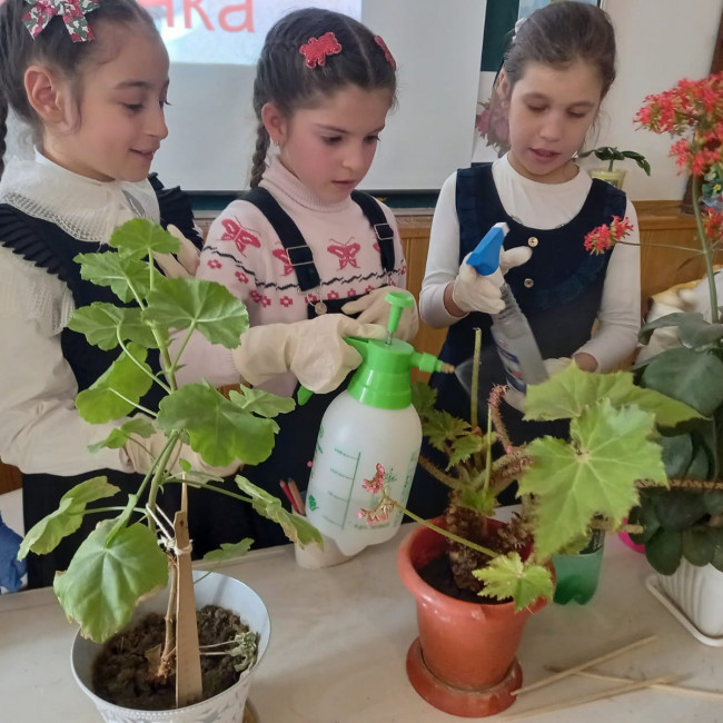 Дополнительная общеобразовательная программа естественнонаучной направленности