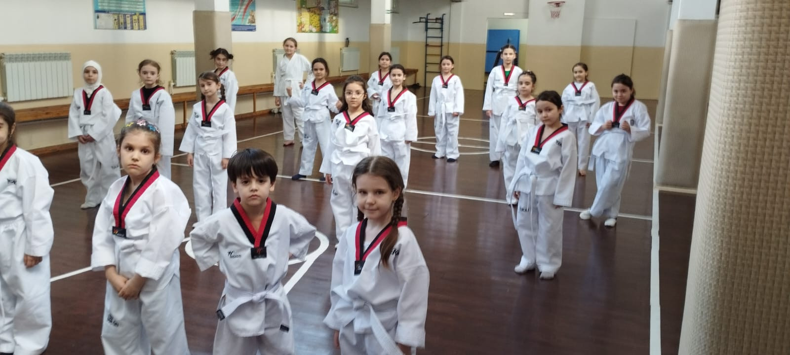 Кружок "Тхэквондо"