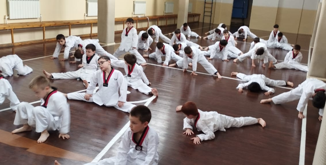 Кружок "Тхэквондо"