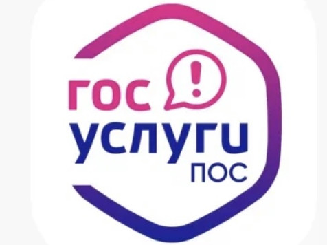 Госуслуги ПОС Госуслуги ПОС