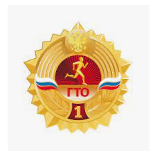 Всероссийский физкультурно - спортивный комплекс (ВФСК) "Готов к труду и обороне"