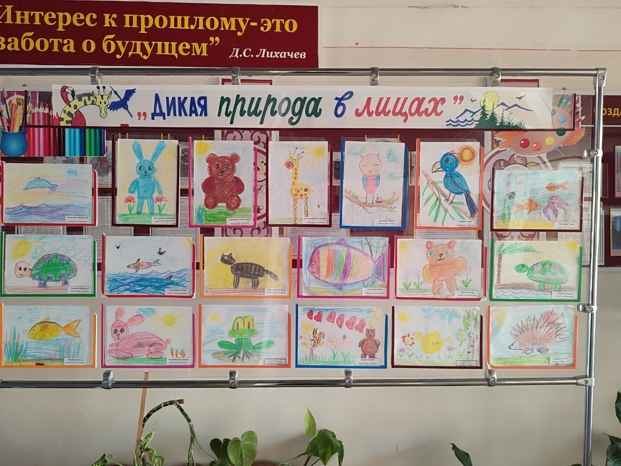 "Дикая природа в лицах"