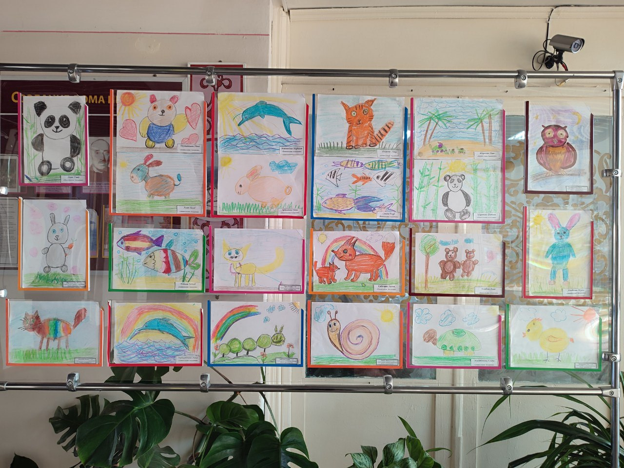 "Дикая природа в лицах"