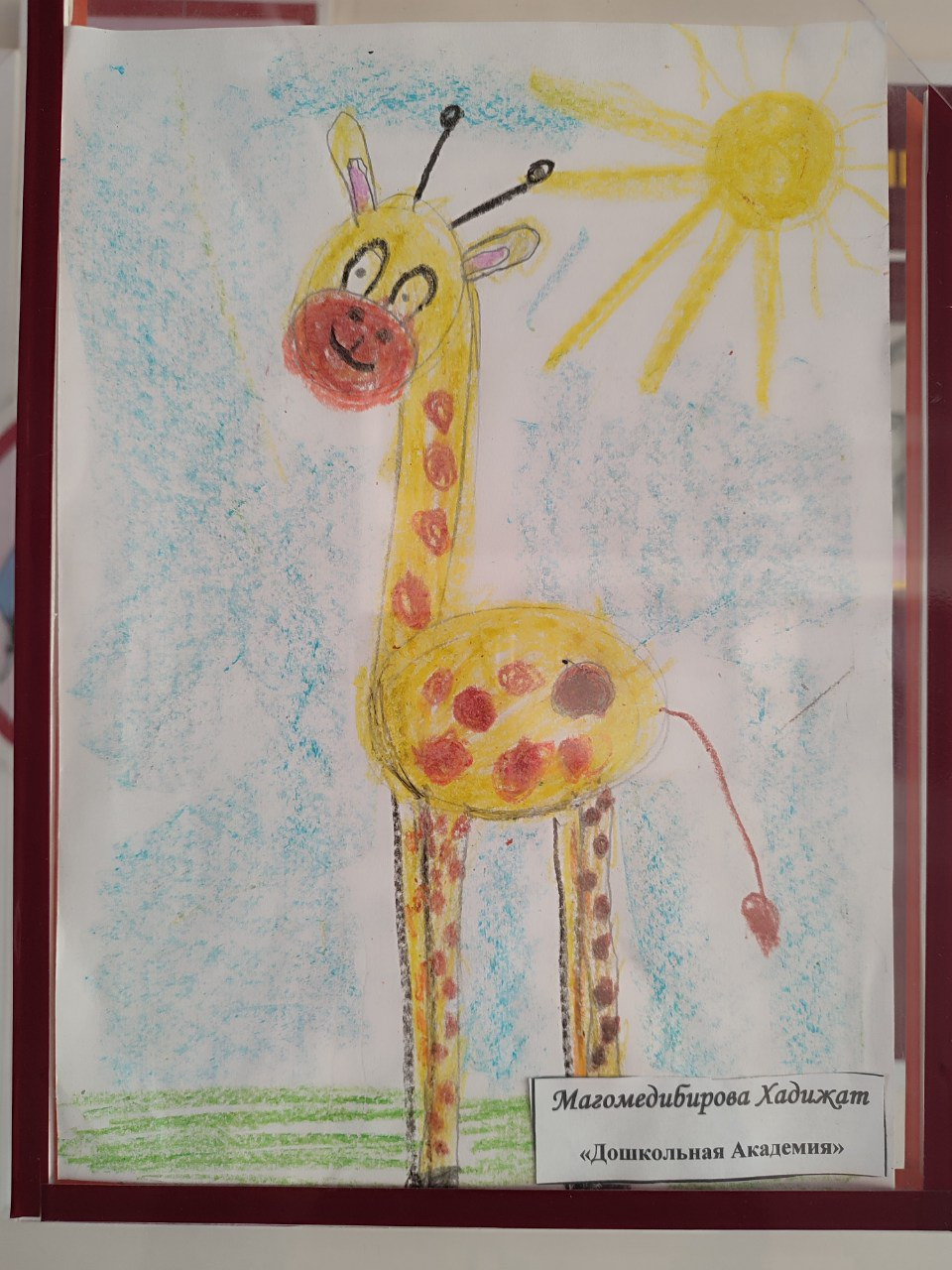 "Дикая природа в лицах"