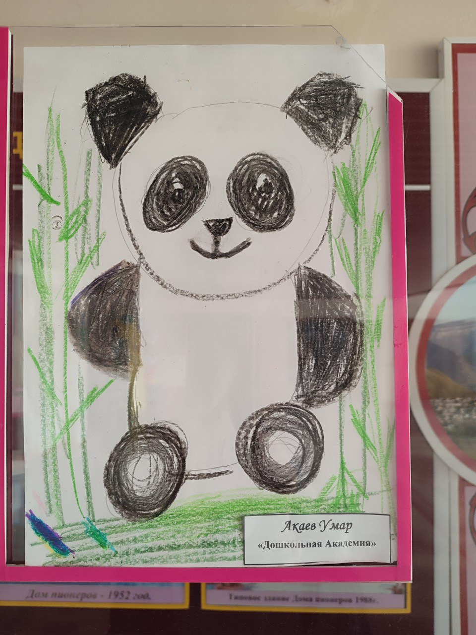 "Дикая природа в лицах"