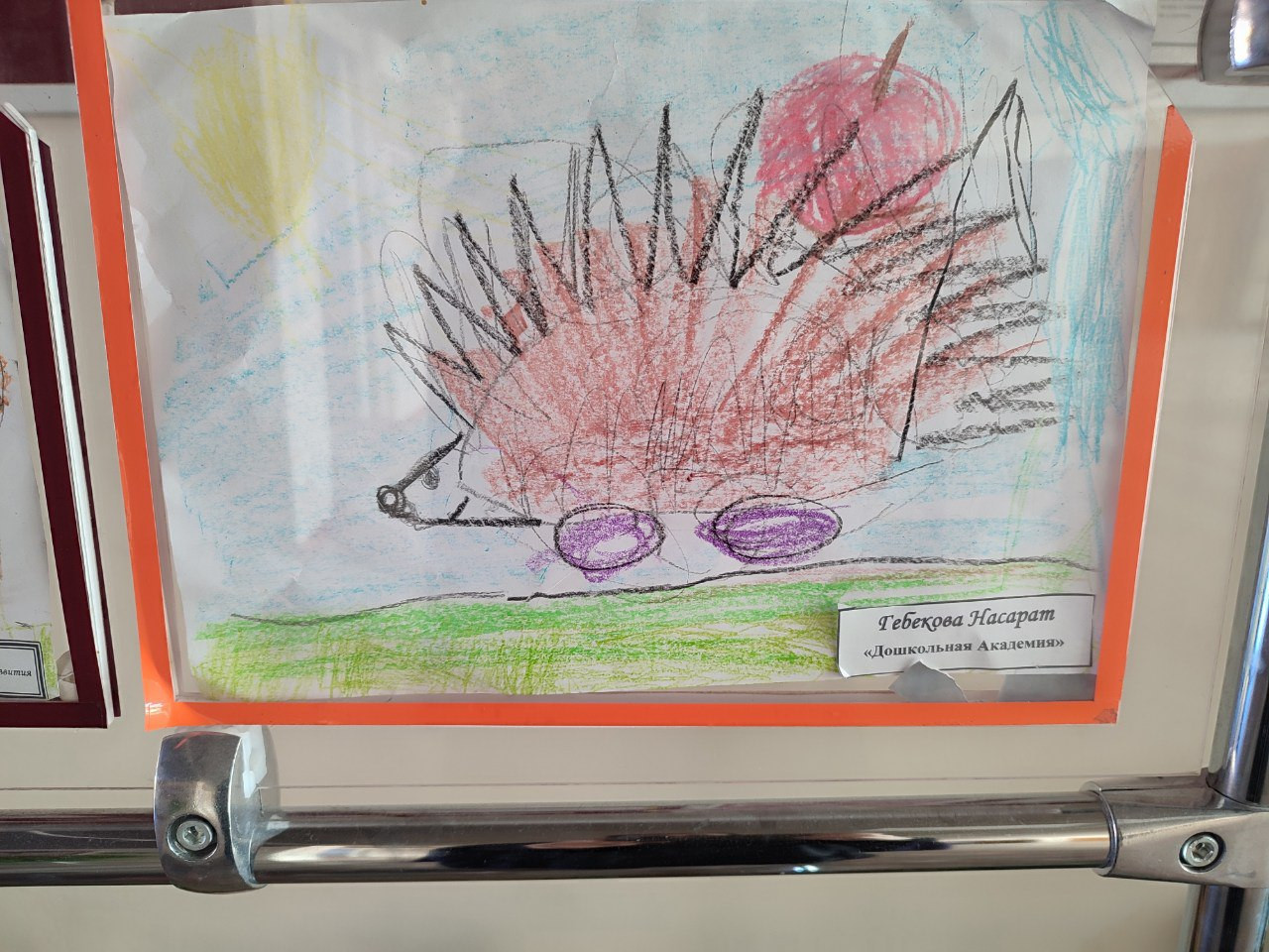 "Дикая природа в лицах"