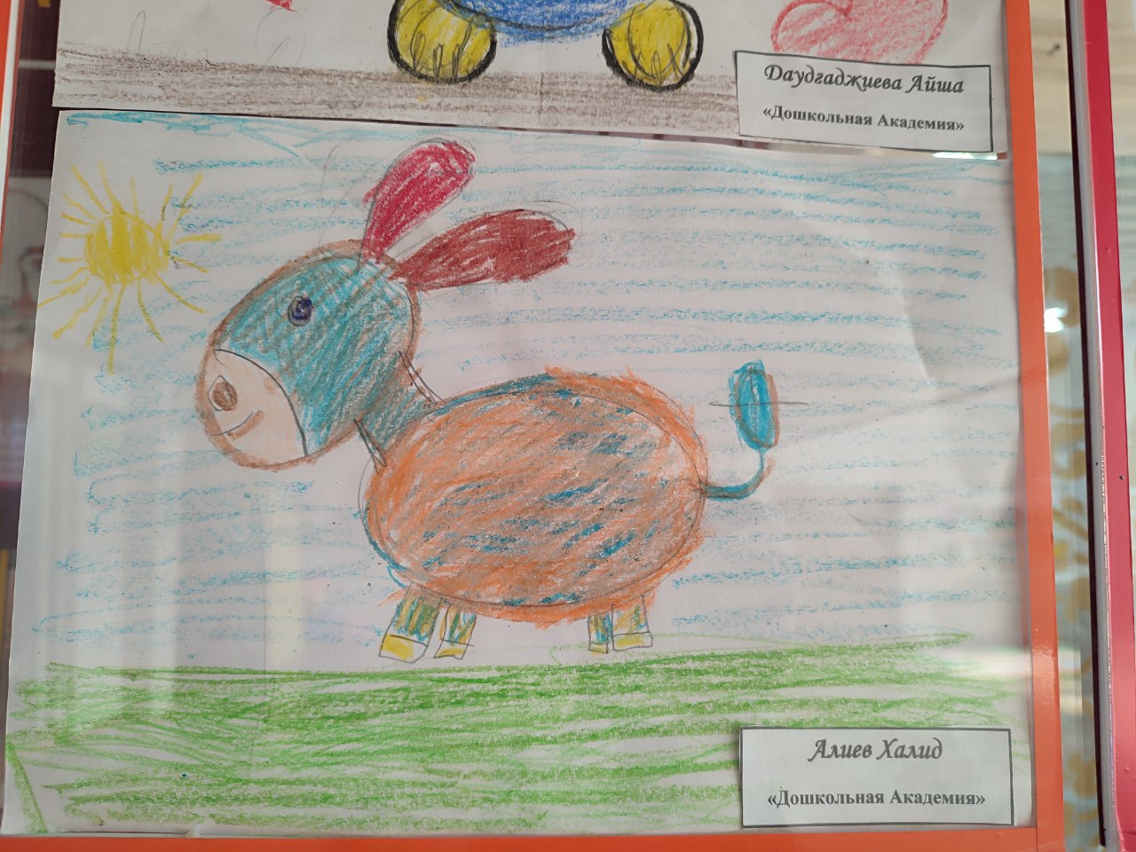 "Дикая природа в лицах"