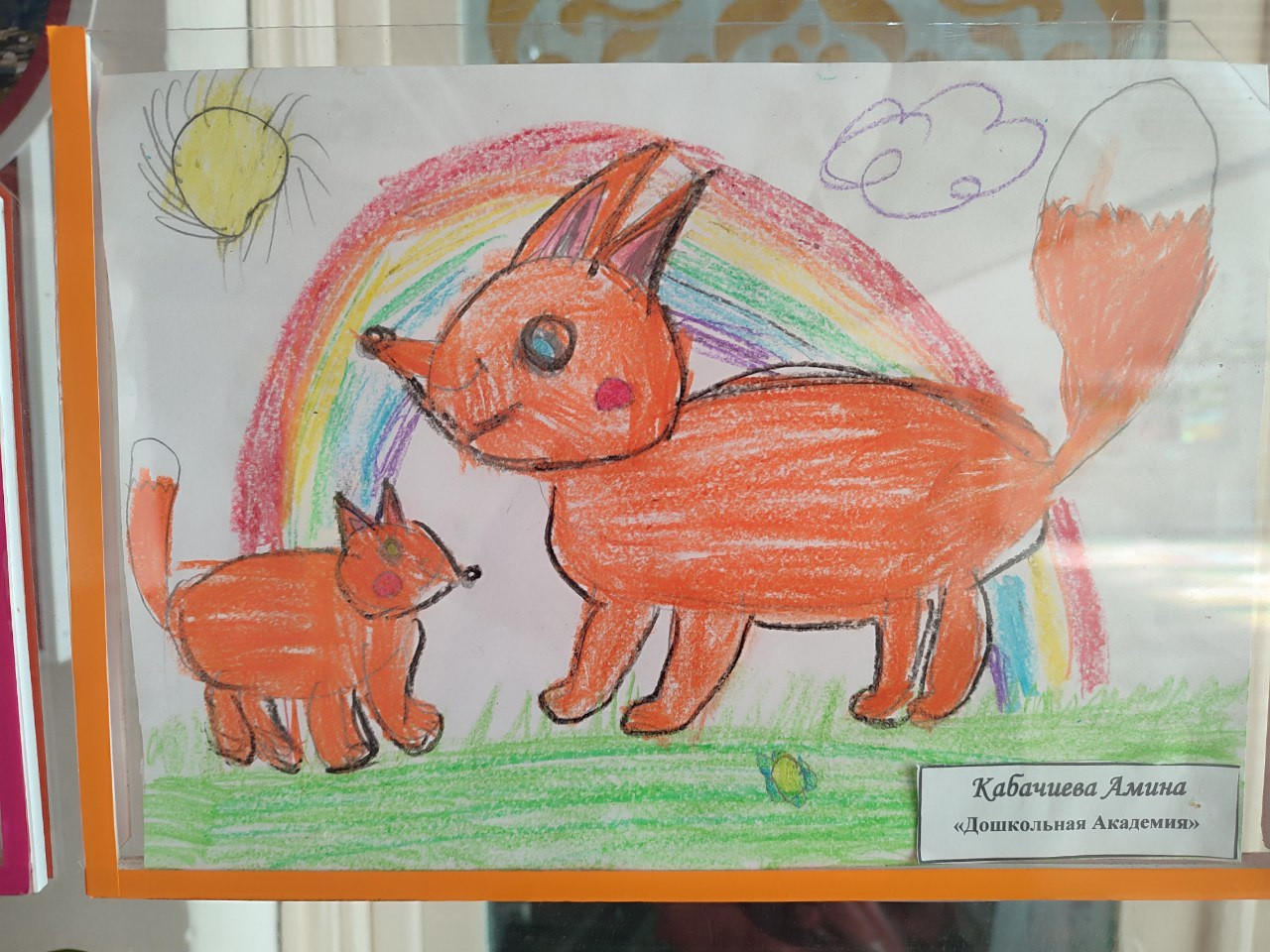 "Дикая природа в лицах"