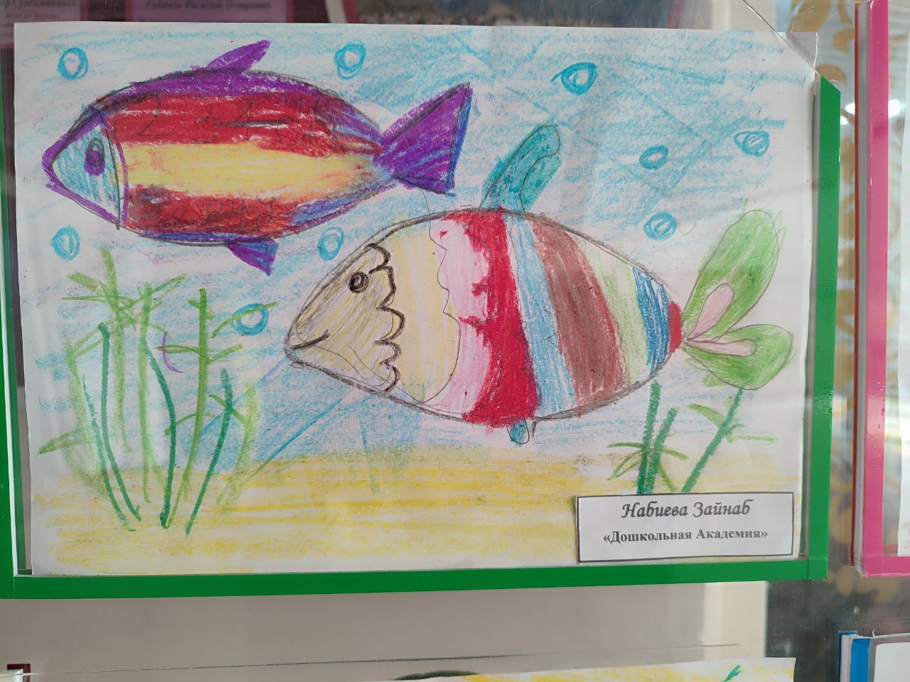 "Дикая природа в лицах"