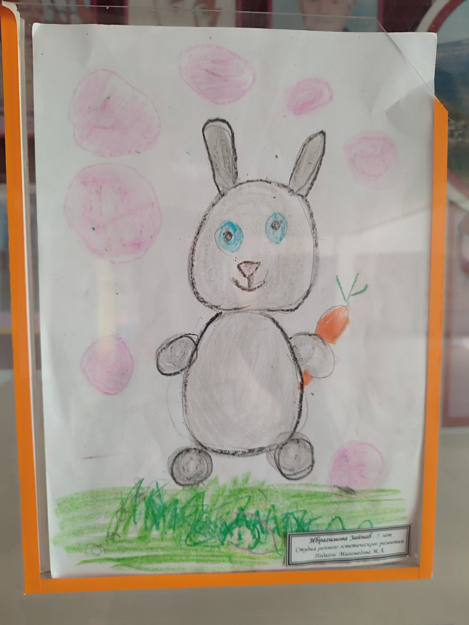 "Дикая природа в лицах"