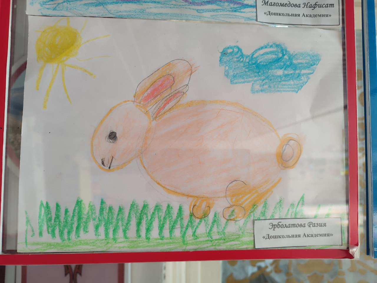 "Дикая природа в лицах"