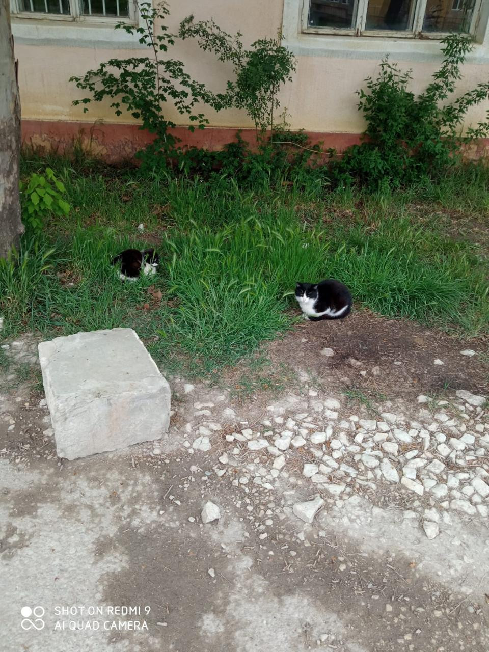 Общегородской субботник 06.05.2024г.