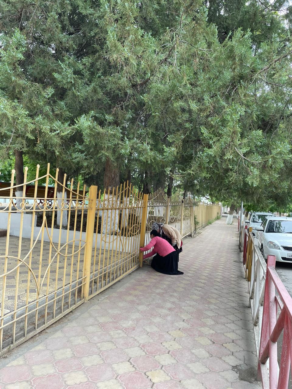 Общегородской субботник 06.05.2024г.