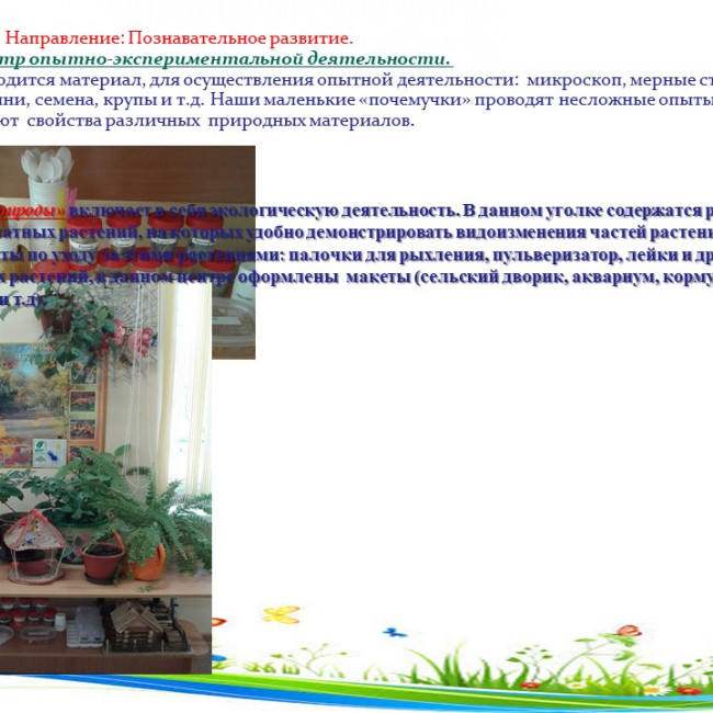 Развивающая предметно-пространственная среда